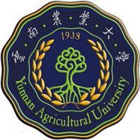 云南农业大学教务系统适配 星程课表支持院校