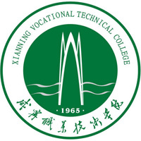 咸宁职业技术学院教务系统适配 星程课表支持院校