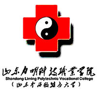 山东力明科技职业学院教务系统适配 星程课表支持院校